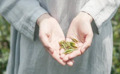 茶饮文化